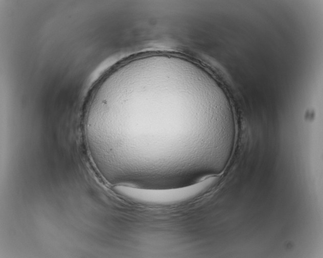 X0000113561168200910091408