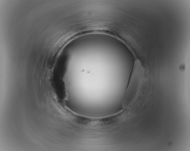 X0000113561169200910091408