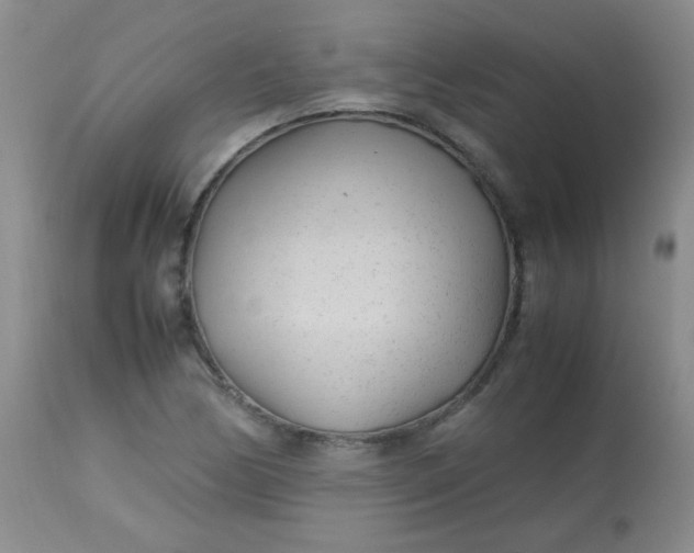 X0000113561170200910091408