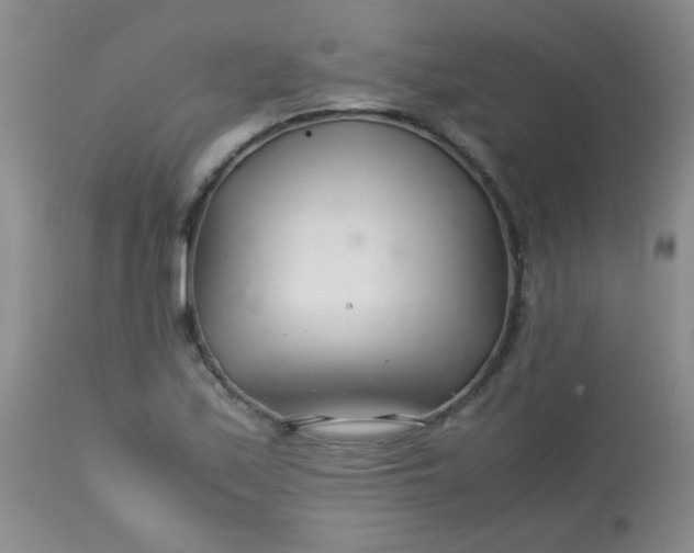 X0000113561171200910091408