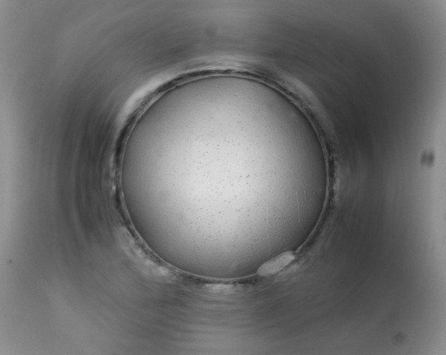 X0000113561172200910091408