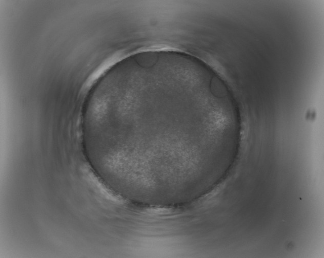 X0000113561173200910091408