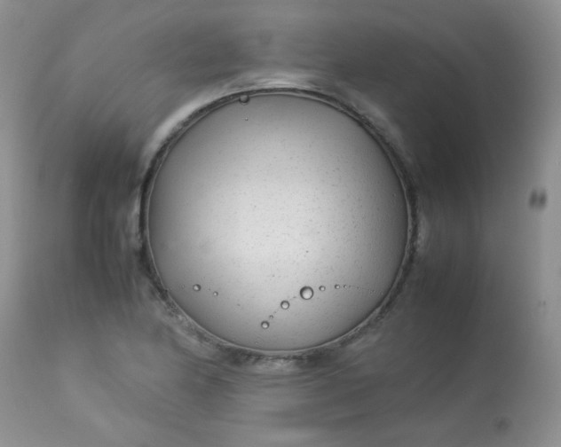 X0000113561174200910091408