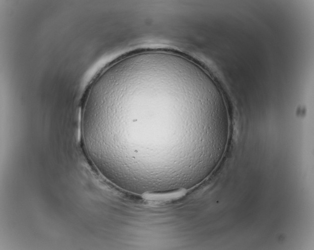 X0000113561175200910091408