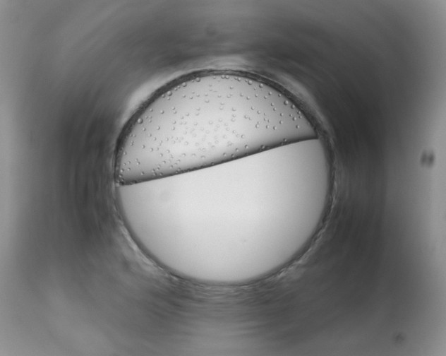 X0000113561176200910091408