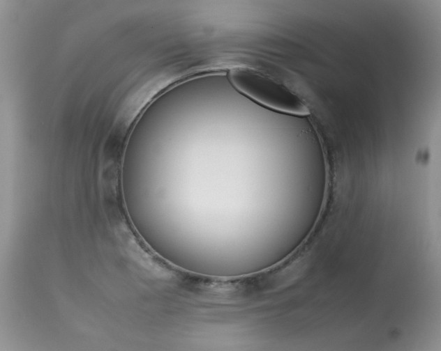 X0000113561177200910091408