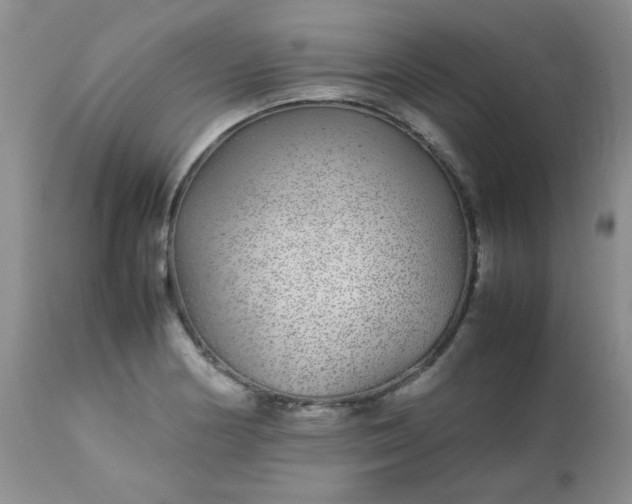 X0000113561178200910091408