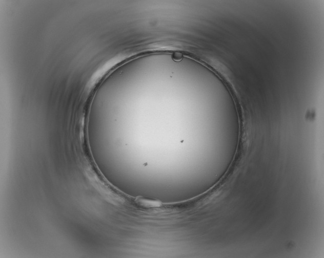 X0000113561179200910091408