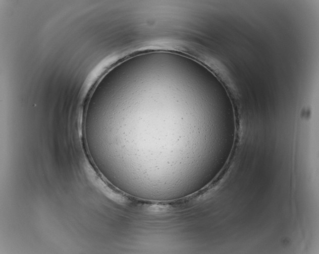 X0000113561180200910091408