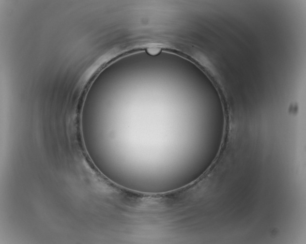 X0000113561181200910091408