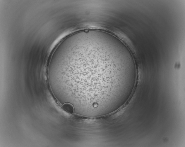 X0000113561182200910091408