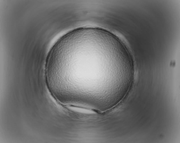 X0000113561183200910091408