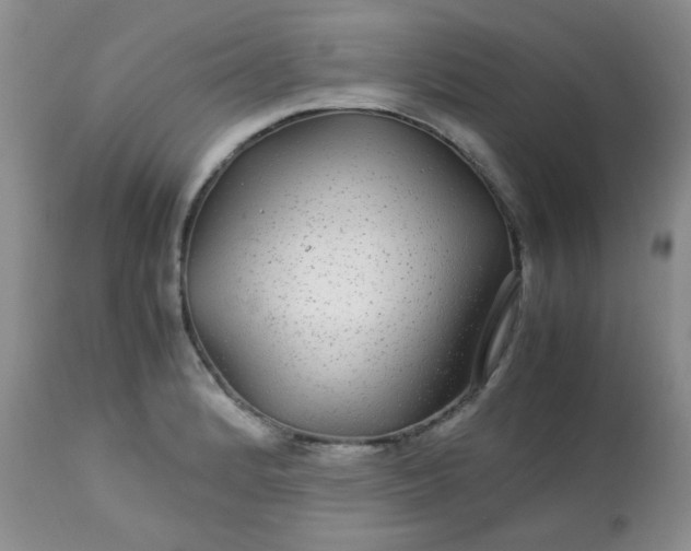 X0000113561184200910091408