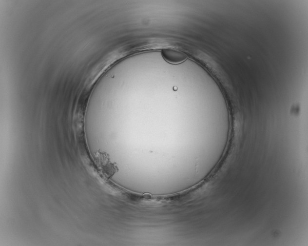 X0000113561185200910091408