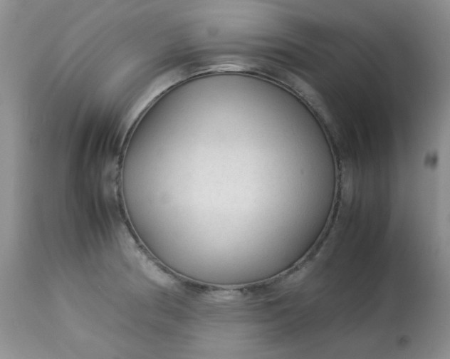 X0000113561186200910091407