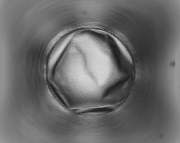 X0000113561188200910091407