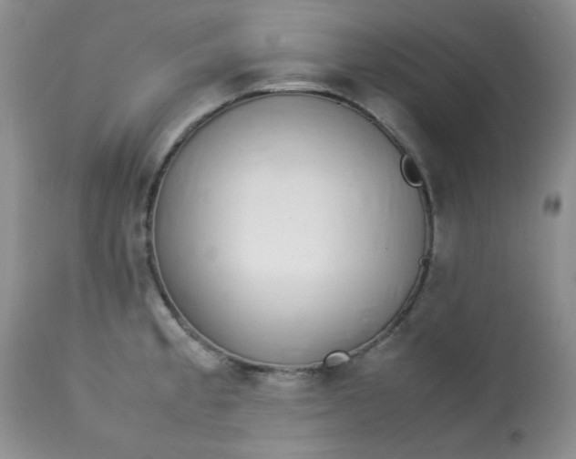 X0000113561189200910091407