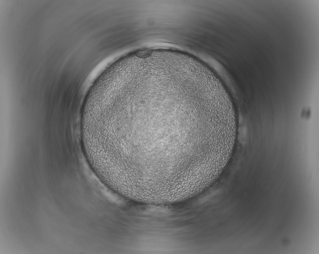 X0000113561191200910091407