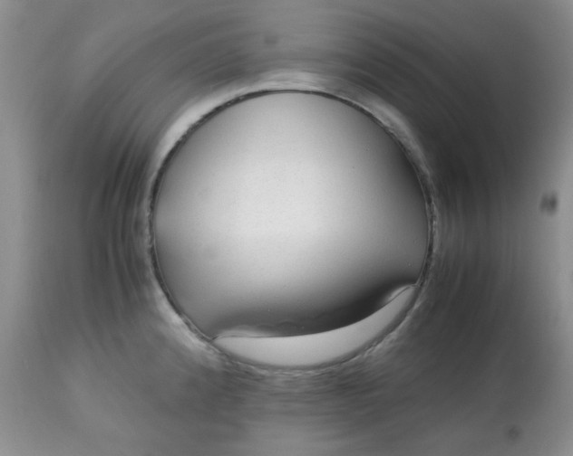 X0000113561192200910091407