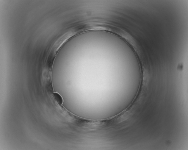 X0000113561193200910091407