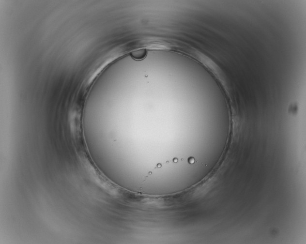 X0000113561194200910091407