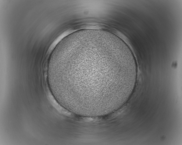 X0000113561195200910091407