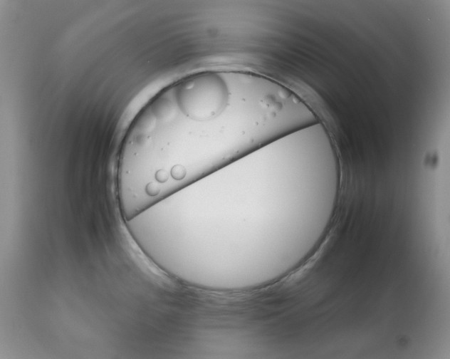 X0000113561196200910091407