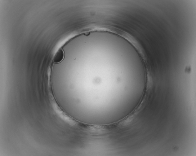 X0000113561198200910091407