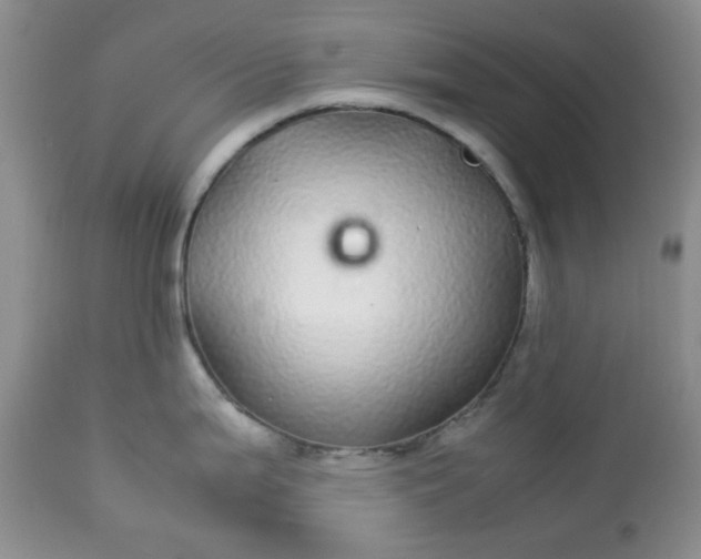 X0000113561199200910091407