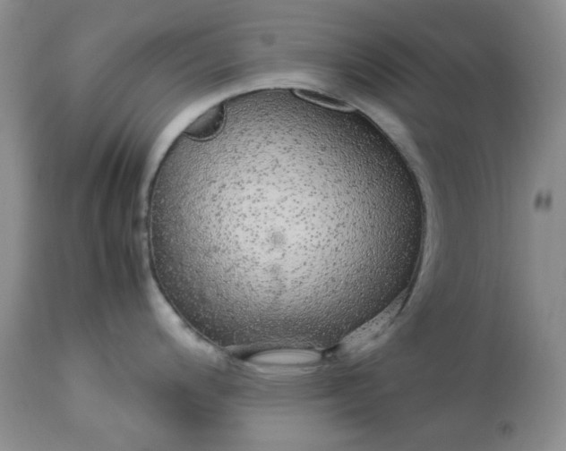 X0000113561200200910091407