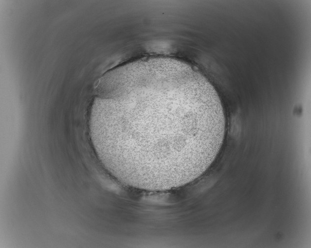 X0000113561201200910091406