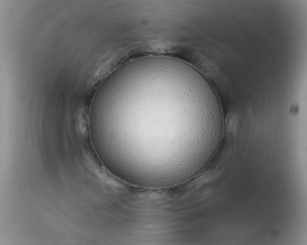 X0000113561202200910091406