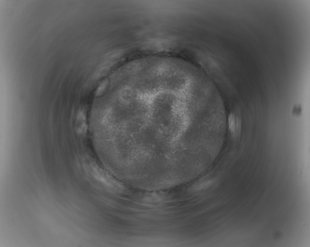 X0000113561203200910091406