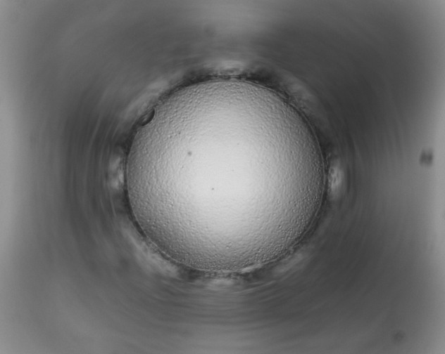 X0000113561204200910091406