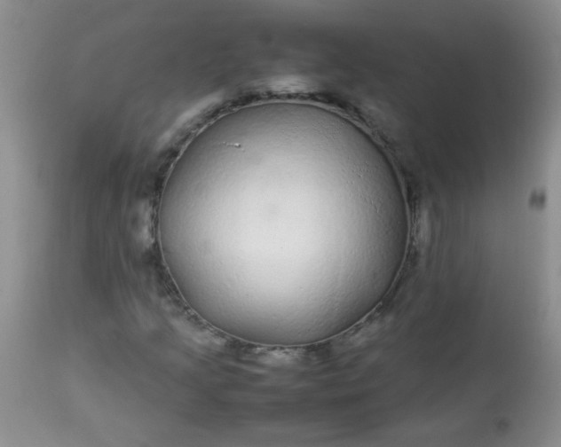 X0000113561205200910091406