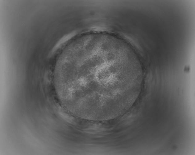 X0000113561207200910091407