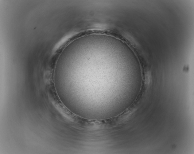 X0000113561208200910091407