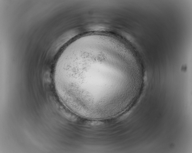 X0000113561209200910091407