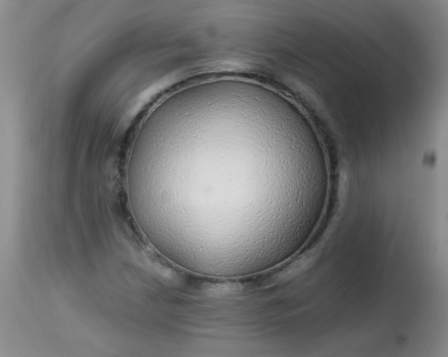 X0000113561210200910091407