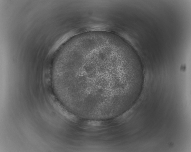 X0000113561211200910091407