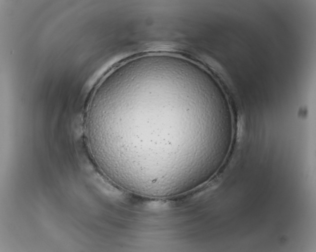 X0000113561212200910091407