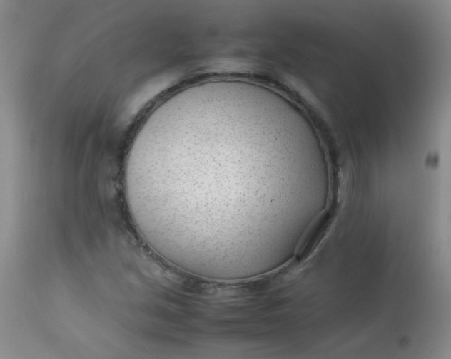 X0000113561213200910091407