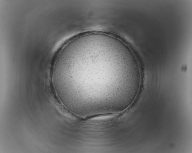 X0000113561214200910091407