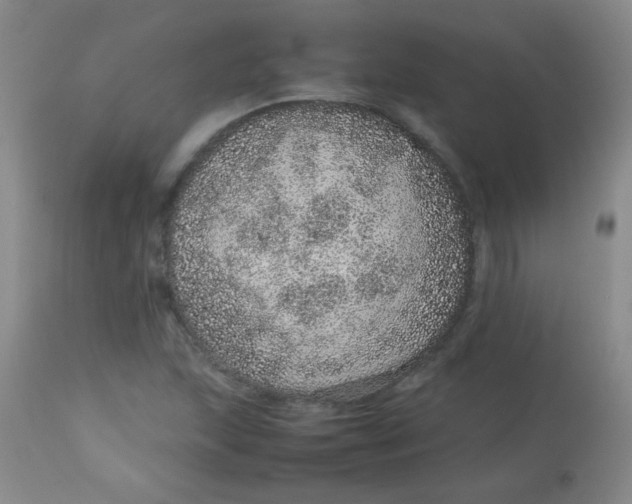 X0000113561215200910091407