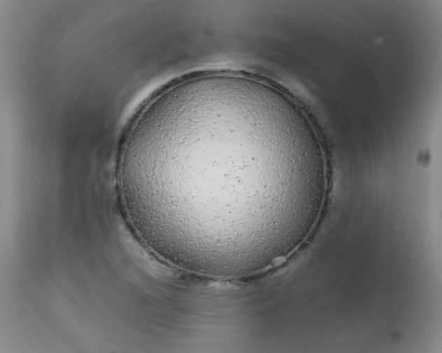 X0000113561216200910091407