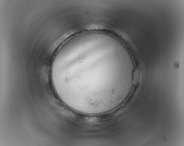 X0000113561217200910091407