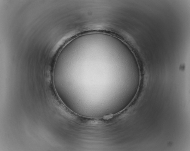 X0000113561218200910091407