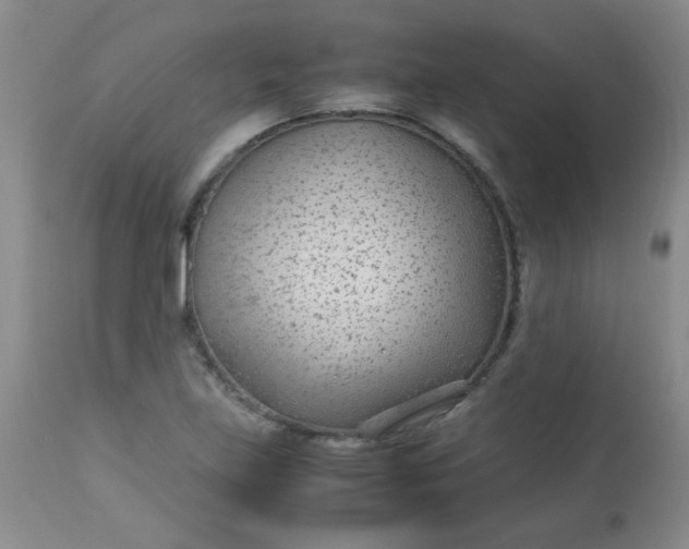 X0000113561219200910091407