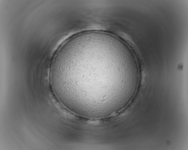 X0000113561220200910091407