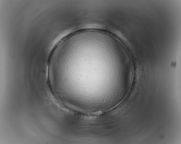 X0000113561221200910091407